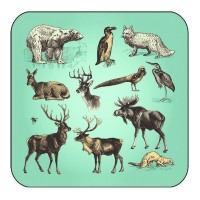 Arctic Animal Coaster